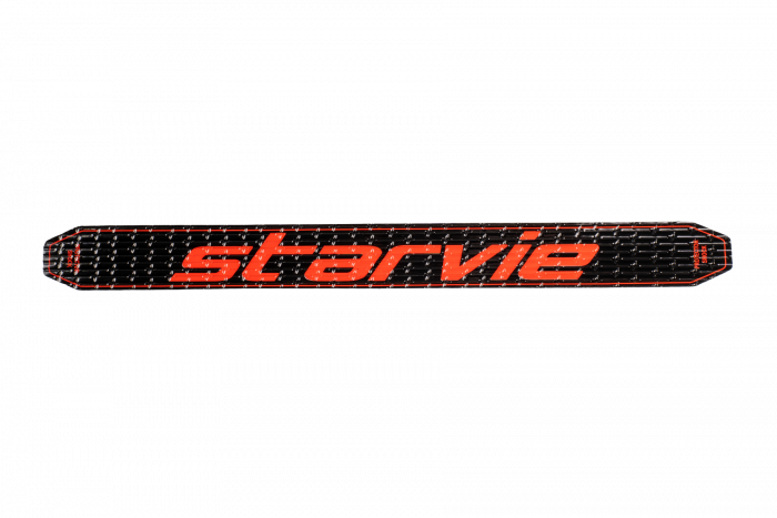 Starvie Protector